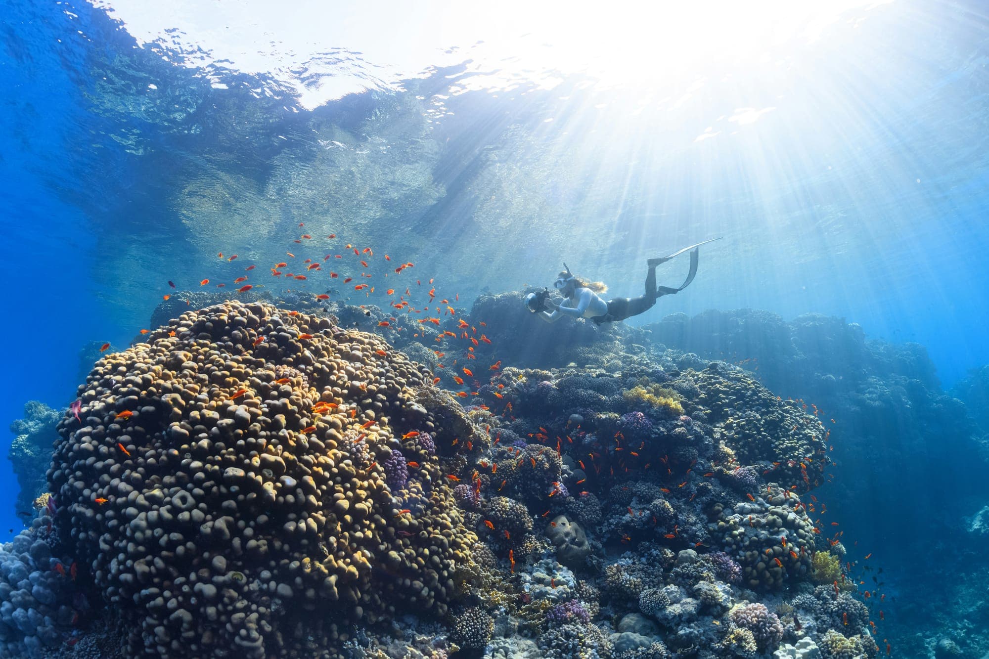 Aerial view of a snorkeler swimming over colorful coral reef with clear turquoise water in a tropical sea