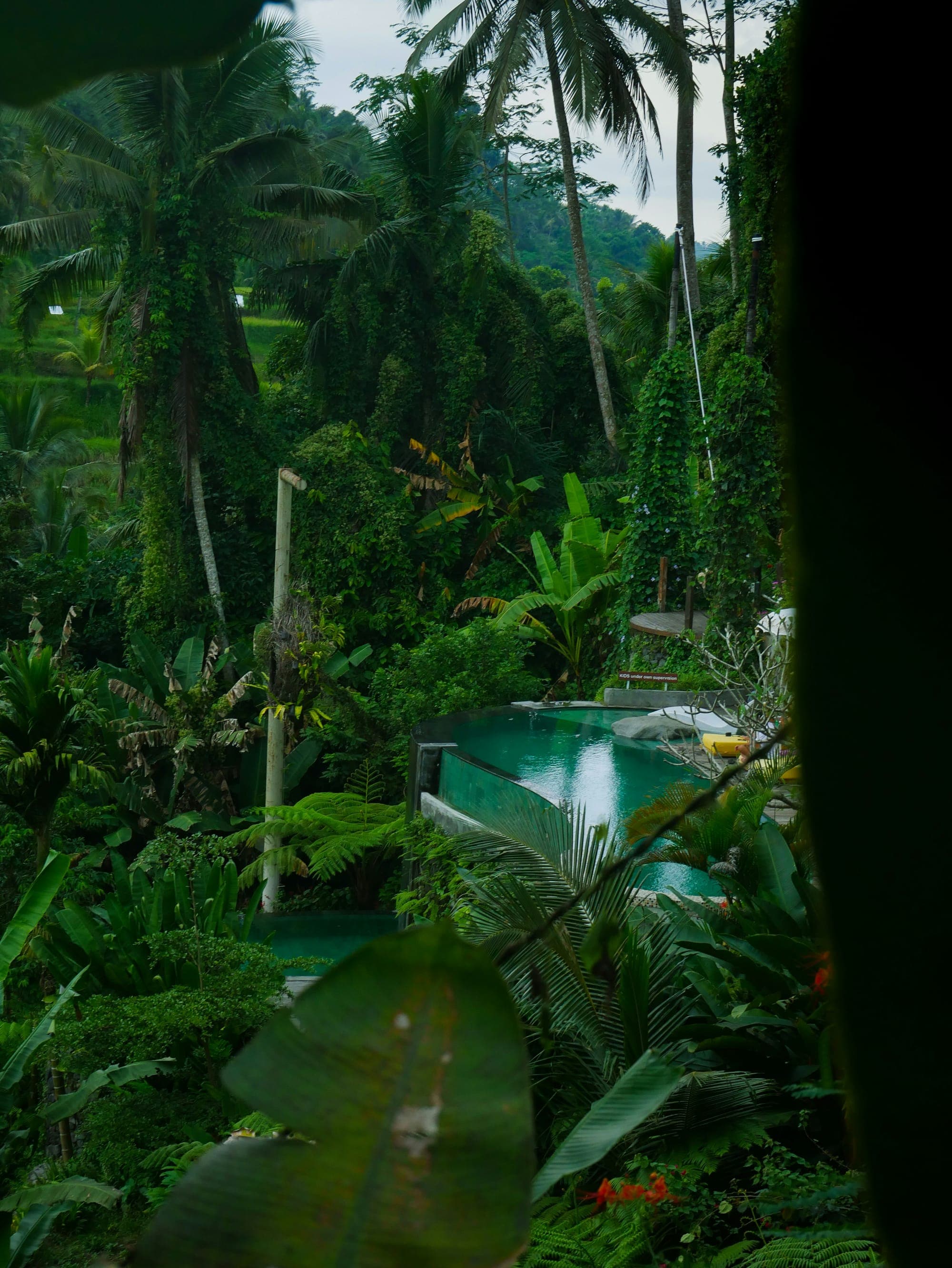 Tropical resort pool nestled within dense palm trees and jungle vegetation